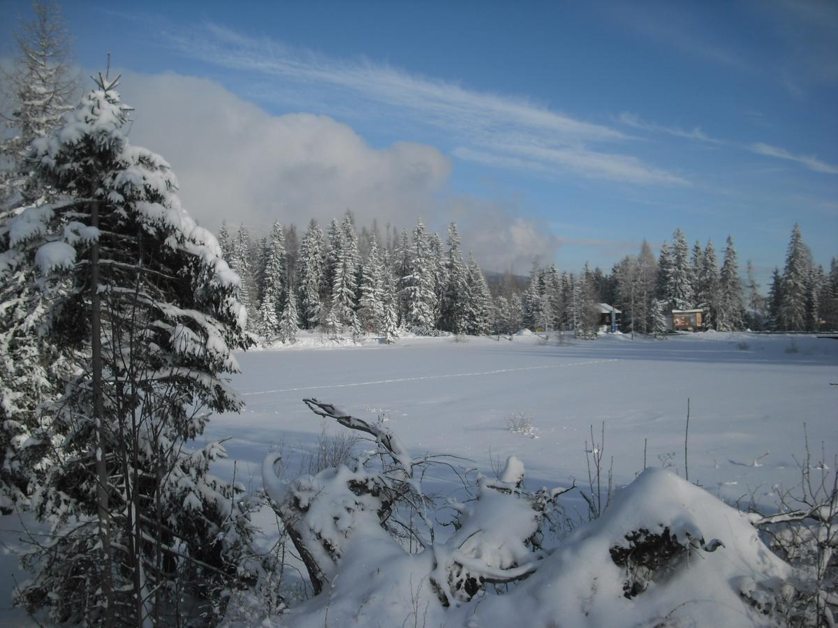 Apartman Panorama 213, Studio Comfort Štrbské Pleso Dış mekan fotoğraf